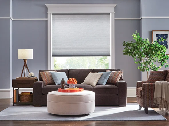 Cellular Shades for Energy Savings in Airdrie